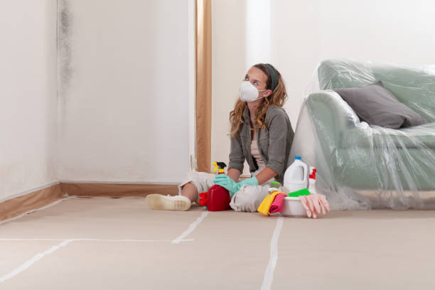 Reliable Black Mold Remediation contractor in Dallas, TX by 24 Hour Mold Removal